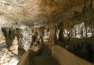 Campanet, Spain, 27 January, 2024: view of the rock formations inside the Campanet Caves in