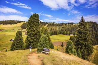 Lovely hills and valleys in the Alps di Siusi. Woman- tourist with backpack on footpath. The
