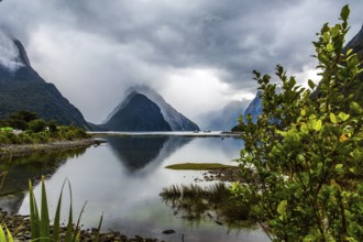Land of hobbits and goblins. New Zealand. Storm clouds cover the sky over the ocean fjord Milford