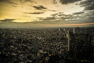 Shinjuku of city landscape and sunset visible from the observatory of the Tokyo Metropolitan