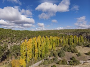 Las Hoces del Río Duratón Natural Park, Segovia province, Spain, Europe