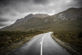 The picturesque Gordon River Rd at the Sentinel range of mountains near Bitumen Bones Sculpture on
