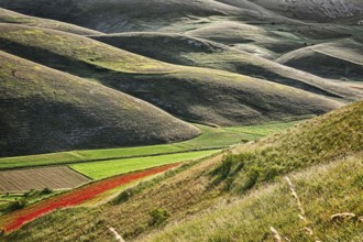 The sun, when it rises behind Mount Vettore, creates a light-shadow effect in the hills below