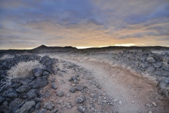 Photo Picture of a Dirt road leading off into the desert