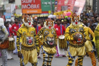 Pulikali Tiger Dance procession, Onam festival, Thrissur, Kerala, India, Asia