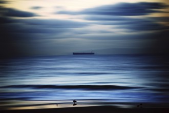 The smooth water of the Pacific with a ship on the horizon and water birds on the beach