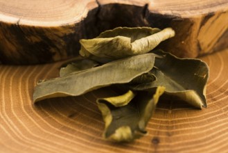 Cassia leaves