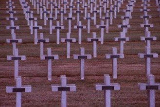 France: Soldier cementary with thousand of crosses