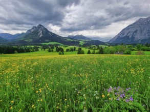Summer austrian landscape with green meadows and impressive mountains, view from small alpine