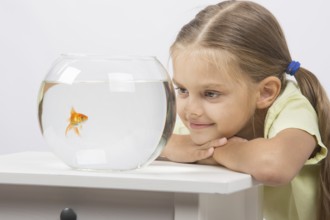 Six year old girl put her head on the handle and looks at a goldfish in an aquarium