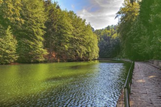 Apple Lake Saxon Switzerland National Park