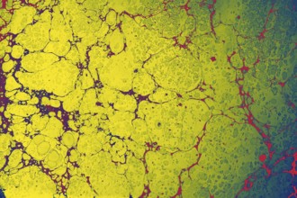 Abstract colored background. Marbling of aqueous surface design
