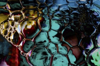 Oil bubbles inside water base form patterns