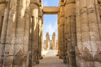 Colonnade of Luxor Temple at sunny morning, Egypt, Africa