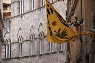 Contrade flags of the Aquila-Eagle district hanging in a street of downtown Siena, Italy, Europe