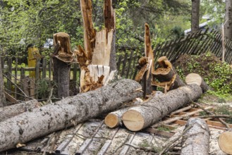 Devastation in a small village after a powerful storm with hurricane strength winds bring down