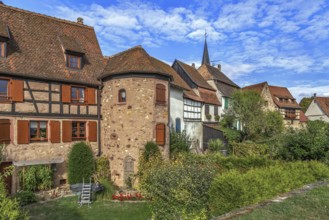 Houses on the site of the city historic fortifications in Bergheim, Alsace, France, Europe