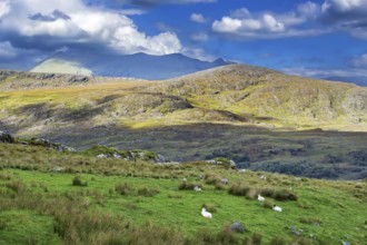 Mountain Landscape in Ring of Kerry, Ireland, Europe