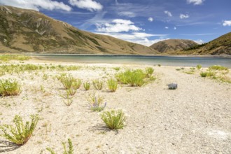 An image of a landscape scenery in south New Zealand