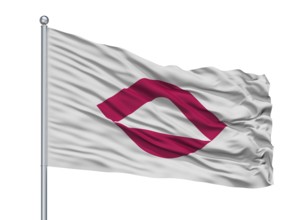 Ninohe City Flag On Flagpole, Country Japan, Iwate Prefecture, Isolated On White Background