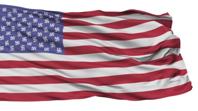 Man In High Castle Flag, Isolated On White Background