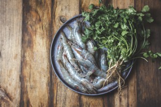 Food, Food, Raw seafood. Fresh shrimps with cilantro gray plate. Wooden backround