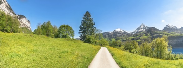 Alpine alley crossing green meadows, in the Alps mountains, on a sunny day of spring, in the canton