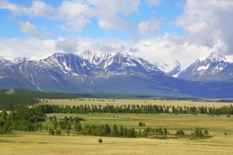 Kuray Valley landscape in the Altai Mountains, Siberia, Russia, Europe