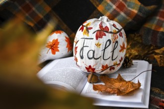 Beautiful painted autumn pumpkins. FALL writing on pumpkin. Autumn harvest. DIY. Autumn leaves