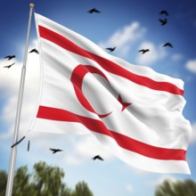 Flag of the Turkish Republic of Northern Cyprus, This is a computer generated and 3d rendered image