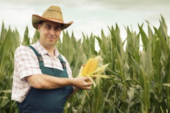 Farmer in hat inspecting corn cobs with field at background