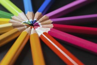 Color pencils school comcept