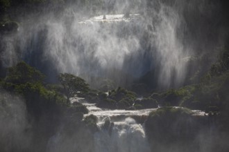 Mystical view to waterfall cascades with a wall of spray and sunlight, Iguazu Falls, Misiones,