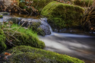 A clear stream flows over moss-covered stones, forms small waterfalls and surrounds itself with