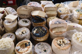 Cangas de Onis, Spain, March 31, 2019: Assortment of traditional asturian cheeses ready to taste in
