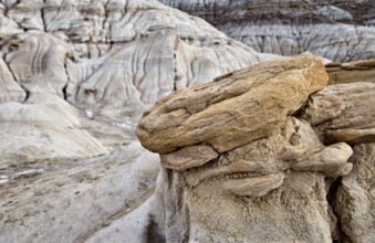 Badlands Alberta Drumheller and Dinasaur Park Canada