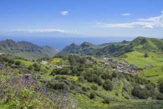 Panoramic view from the Mirador de Jardina in the Parque Rural de Anaga, Tenerife, Spain, Europe