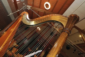 Harp