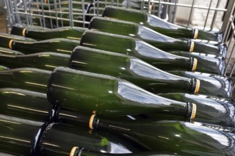 Stored bottles with crown caps