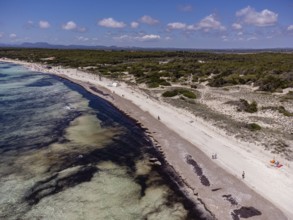 Es Trenc beach, Campos municipality, Mallorca, Balearic Islands, Spain, Europe