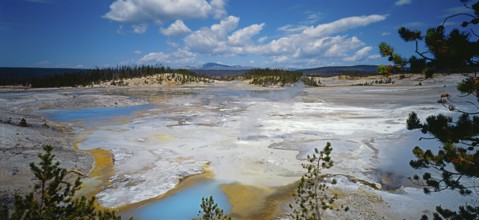 Yellowstone National Park, Norris Geyser Basin, Wyoming, USA, North America