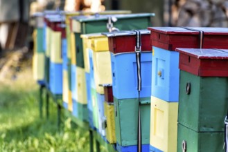Beehives