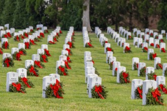 Atop a hill, a veterans cemetery with white headstones and the American flag evokes deep honour,