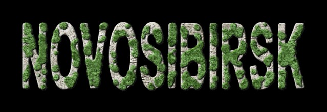 Novosibirsk Reforestation and Biophilia, Novosibirsk Green Typography