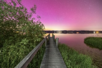 Wooden footbridge with neighbouring reed trees under a sky with aurora borealis, Reichenau, Lake