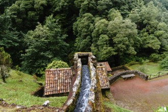 Parque Natural da Ribeira dos Caldeiroes in Sao Miguel Island, Azores, Portugal, Europe