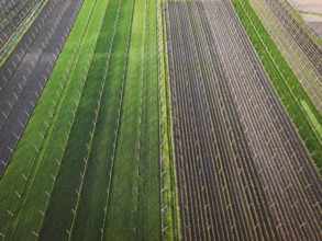 Aerial view of agricultural fields in the country side of Slovenia on a sunny day