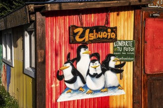 Photo background with penguins, Ushuaia, Argentina, South America