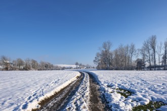 Snow-covered path through a quiet winter landscape under a clear sky, Sempach, Lucerne,