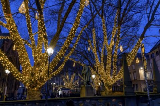 Evening atmosphere, Christmas decorated with Christmas lights trees on the Christmas market,